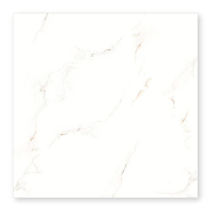 Tile 24''×24'' 232-MBBS6048