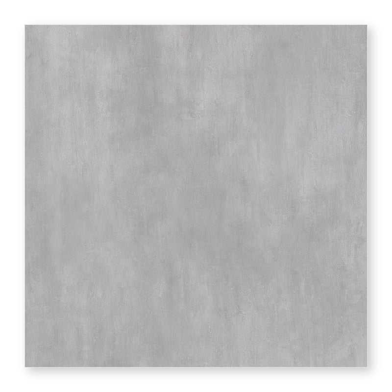 Tile 24''×24‘’ 13-GB-FG66004